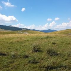 20180712_144639-800-copyright_werner_leiner